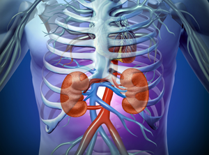 Chronische nierinsufficiëntie (Presentatie)