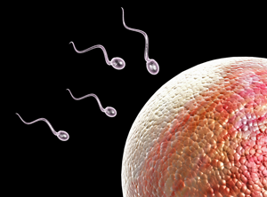 Contraception - 2° partie (Présentation)